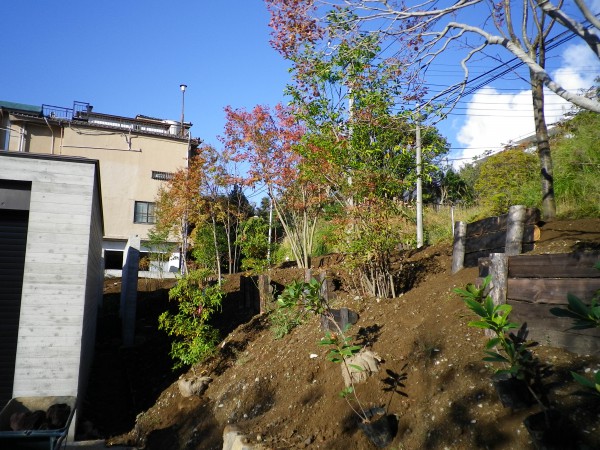 北側斜面植栽 庭匠 風玄 ふうげん 東京